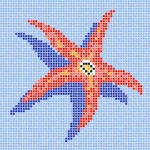 estrella-mar